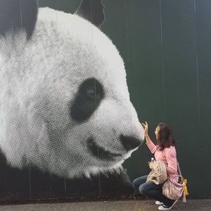 Meet your Posher, Cindy